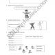 Worksheet First Grade Science Firstade Worksheets Esl By Anpamaji Matter Free For Kids Outstanding Picture